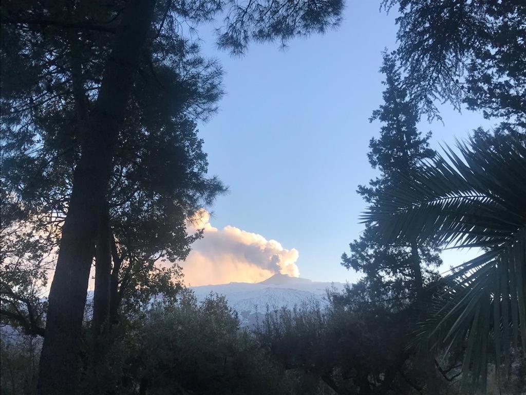 Agriturismo Sole Di Sicilia Randazzo Luaran gambar