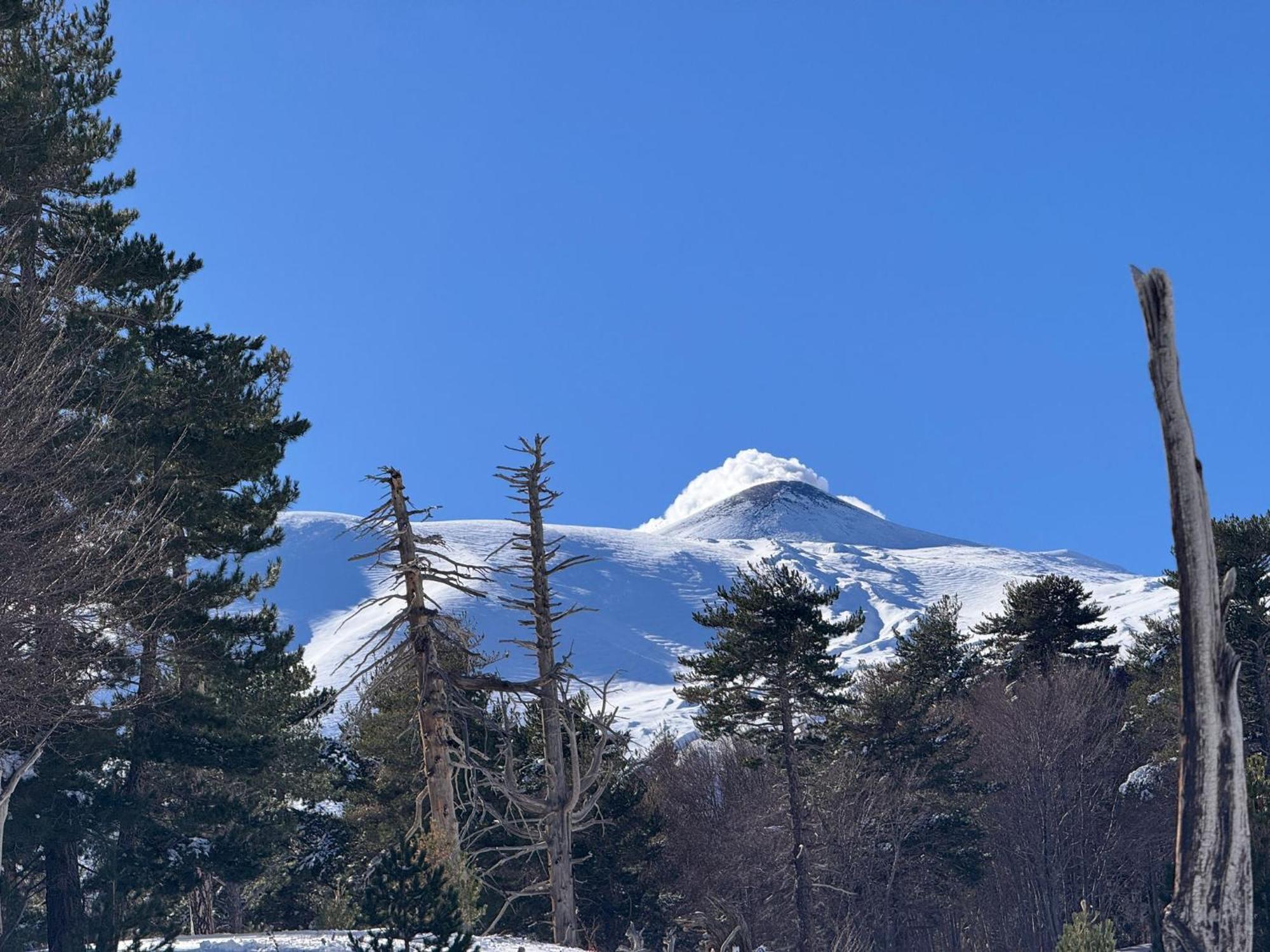 Agriturismo Sole Di Sicilia Randazzo Luaran gambar
